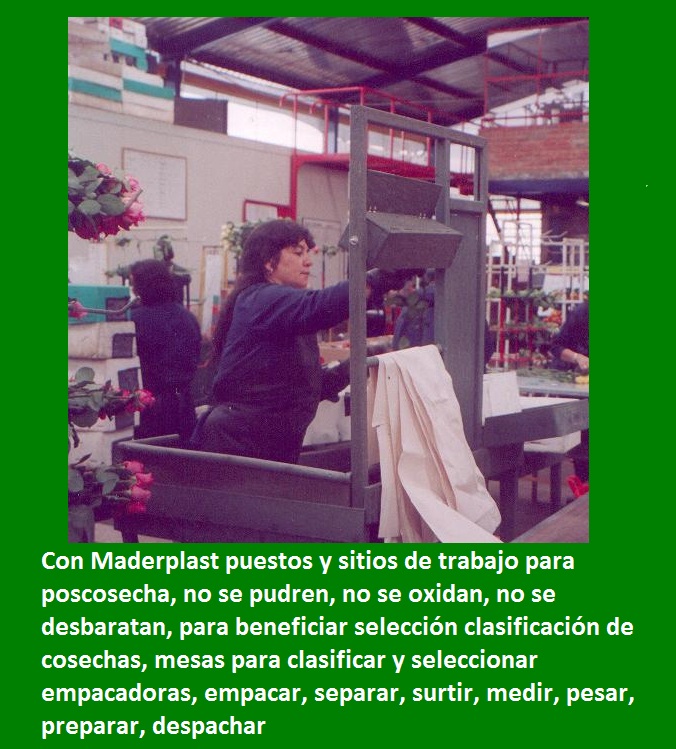 poscosecha puestos estaciones de trabajo pos cosechas beneficiar selección clasificación de cosechas mesas para clasificar y seleccionar empacadoras empacar separar surtir medir pesar prepara 0 poscosecha puestos estaciones de trabajo pos cosechas beneficiar selección clasificación de cosechas mesas para clasificar y seleccionar empacadoras empacar separar surtir medir pesar prepara 0